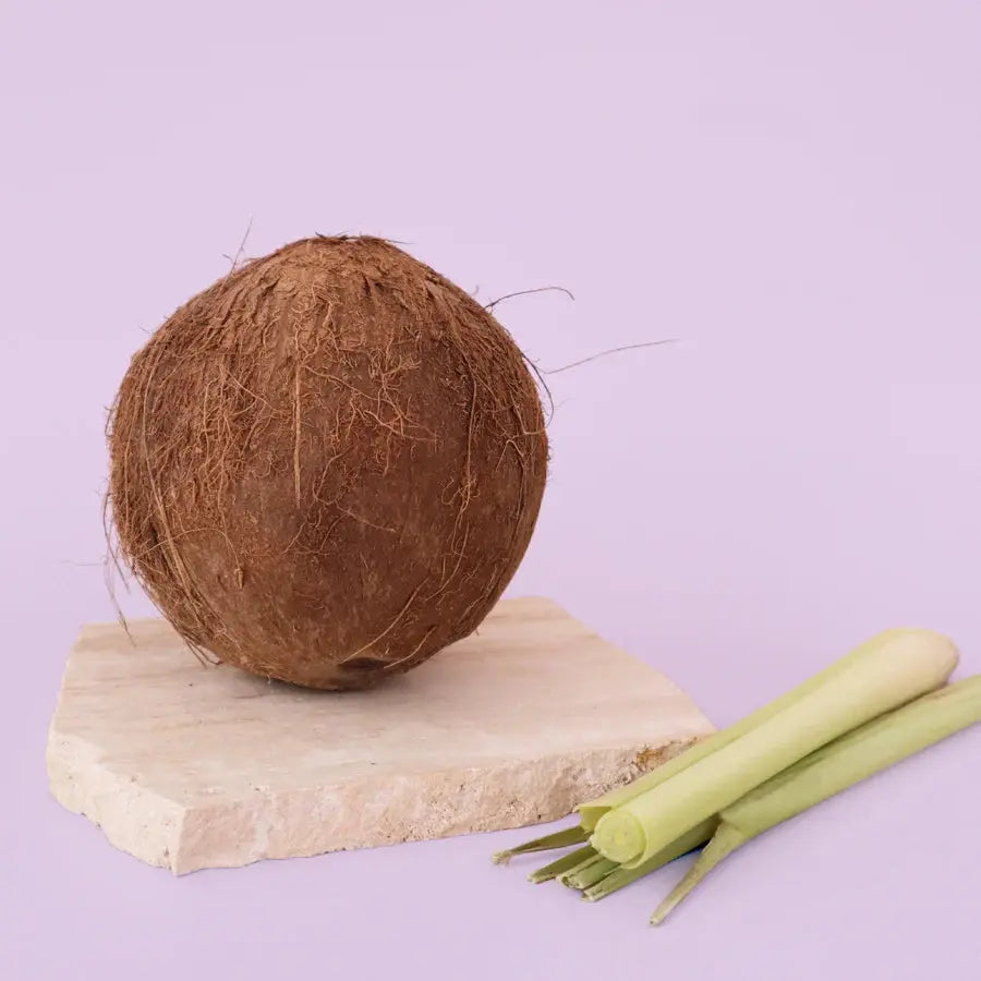 Coconut & Lemongrass Memories In Craft