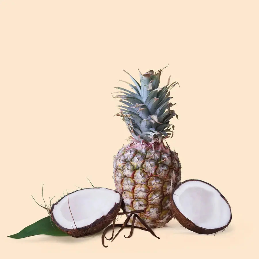 Coconut Pineapple Vanilla Scented Candle - Tropical Paradise Fragrance Memories In Craft